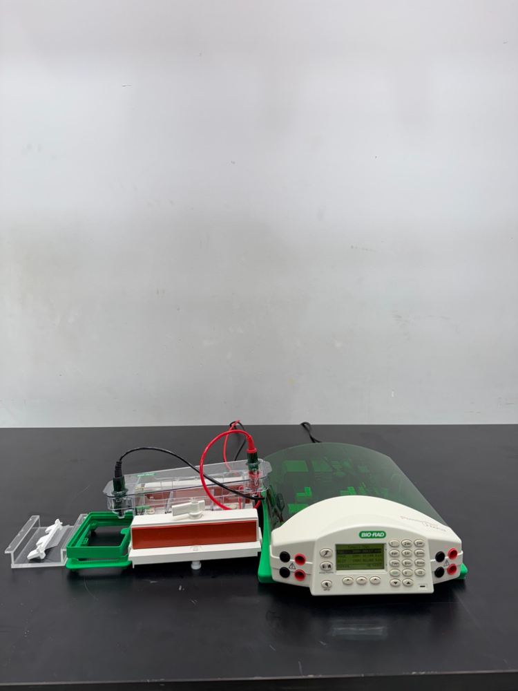 Image of Bio-Rad PowerPac Universal Electrophoresis Power Supply